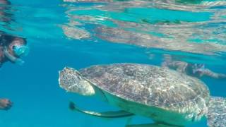 Marsa Alam, Egypt, Red sea