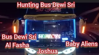 Bus Dewi Sri Al Fasha Bus Dewi Sri Joshua Bus Dewi Sri Baby Aliens