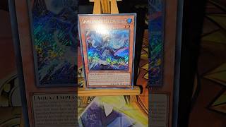 YU-GI-OH Mirror Mage of the Ice Barrier Secret Rare Battles of Legend: Terminal Revenge 2024