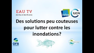 Complément Ep11 : Existe t il des solutions à moindre cout pour lutter contre les inondations?