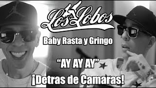 Baby Rasta y Gringo - Ay Ay Ay (Detras de Camaras)