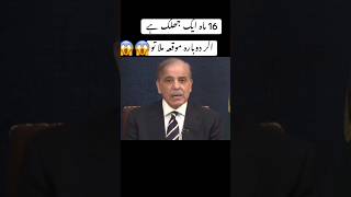 شہباز شریف کے سولہ ماہ ایک جھلک تھے |