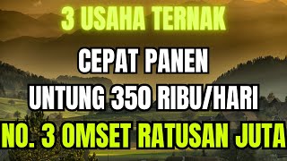 3 USAHA TERNAK YANG CEPAT PANEN UNTUNG 350.000 SEHARI !