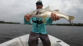 INSHORE SNOOK AND TARPON FISHING