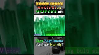 Zoom Sikat Gigi ternyata ada Bakterinya @gozoom24 #short