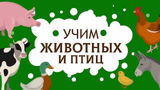 СБОРНИК! Развивающие мультики для детей Развитие РЕЧИ Учимся ГОВОРИТЬ Первые СЛОВА