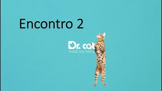 A cistocentese em gatos obstruídos- Encontro 2  Grupos de Estudos Dr. Cat Medicina Felina