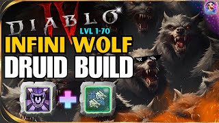 Diablo 4 Druid Leveling Build (1-70) INFINI WOLF - Season 5