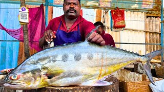 KASIMEDU SPEED SELVAM QUEEN TREVALLY FISH CUTTING VIDEO CUTTING FOCUS