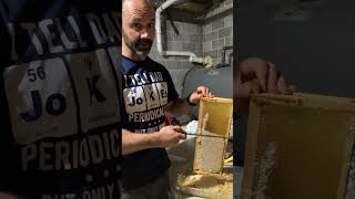 The physics of getting honey - “centrifugal” force #science #physics #bees