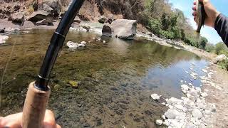 PESCA DE GUAPOTES EN RIÓ COSTA RICA.