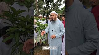 শায়খ আহমাদুল্লাহর নিজের হাতে বৃক্ষ রপন | Ahmadullah | শায়খ আহমাদুল্লাহ | Tanvir Tv24 | #ahmadullah