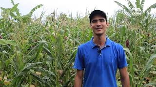 Feira da Agricultura Familiar de Caetité com Base Agroecológica