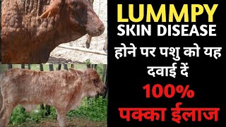 लंप्पी स्कीन बीमारी का पक्का ईलाज | lummpy skin disease treatment By expert Doctor | LSD medicine