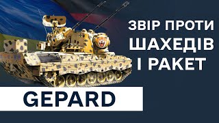 Чим збивають шахеди? Що за звір Gepard? / Свято Джавеліна