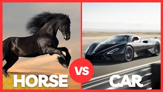 Horse Speed VS Car Speed