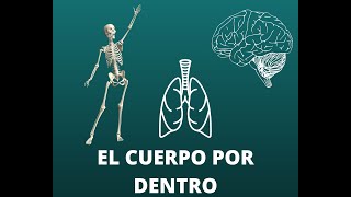 VOCABULARIO DEL CUERPO POR DENTRO