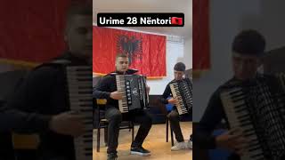 Talentet e rinj me harmonik. Urime 28 Nëntori