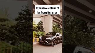 Lamborghini Urus in Grigio lynx shade #lamborghini #urus #viral #shorts