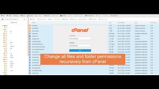 Change Files and Folders Permissions in cPanel