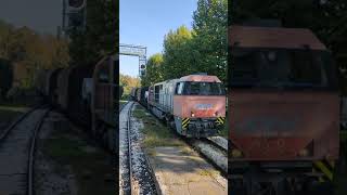 Transito della G 2000 020 in testa al treno 85051 in transito da Luzzara