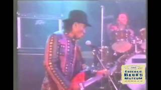 Black Dog performed by Gregg Parker w/ Mitch Mitchell on drums from The Jimi Hendrix Experience