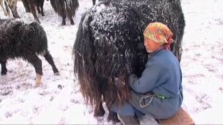 Экстремалды өмір  Көшпенділер  видео