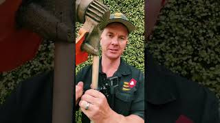 #lawncare Lots of out-takes #lawntiktok #lawntok #lawn #lawns #lawnsoftiktok #la