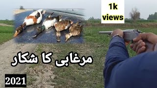 duck hunting in pakistan | murghabi hunting 2021!#Vlogs