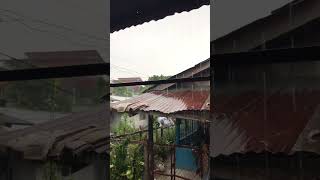 Raining probinsya #shortvideo #davaobloggers #davaocity #philippines #youtube #rain #heavyrain