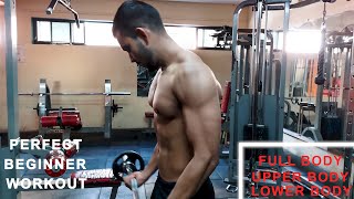 first DAY of GYM || FB UB LB || Newbie Gym Workout Split