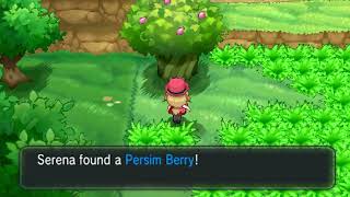 Pokémon X & Y Obtained a Berry!