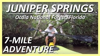 Juniper Springs Kayaking Adventure - A MUST DO!