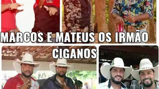 Marcos e Mateus os irmãos cigano tatuagem de morango