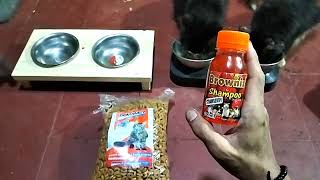 KHUSUS PEMULA ‼️ REVIEW MAKANAN KUCING DRY FOOD DONAT TERBARU ⁉️