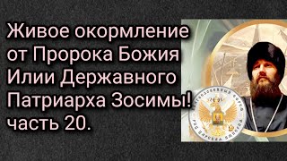 Живое окормление от Пророка Божия Илии Державного Патриарха Зосимы. Часть 20.