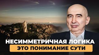 Несимметричная логика означает понимание сути Энвер Измайлов