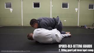 Open Guard Combinations: Spider to DLR to Sitting Guard