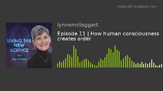 Episode 11 | How human consciousness creates order