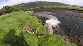 GOPR2022 Effluent feed pollution Kinglas Water into Loch Fyne 6 Aug 2023