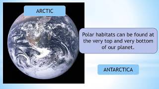 About Polar Habitats | Kids Science & Animals | Hands-On Education