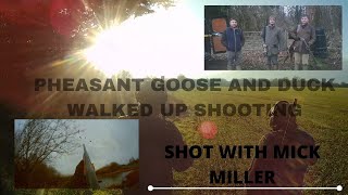 PHEASANT, GOOSE AND DUCK WALKED UP SHOOTING