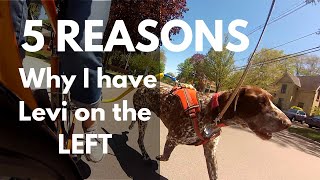 5 Reasons to Ride with Your Dog on the LEFT