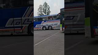 BUS TRONTON NARENDRA VELGNYA MENGKILAP BANGET CUY