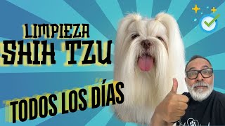 COMO LIMPIAR a tu Shih Tzu TODOS LOS DÍAS tips by Alex Santillana