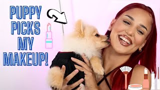 PUPPY PICKS MY MAKEUP!