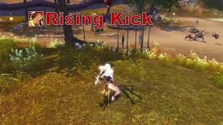 Blade and Soul Kung Fu Master Skill Animations