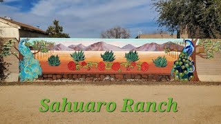 03/03/2024 Sahuaro Ranch Park