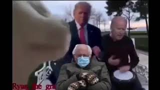 Joe Biden Trump Bernie Sanders n Cat