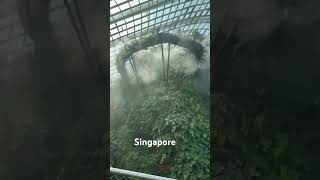 Singapore Indoors Waterfall Garden